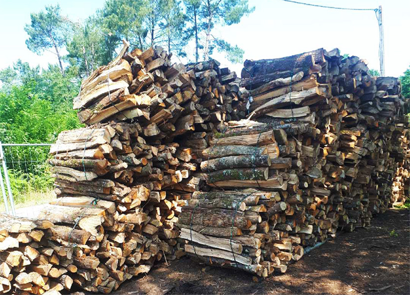 professionnel en sciage de bois La Teste-de-Buch